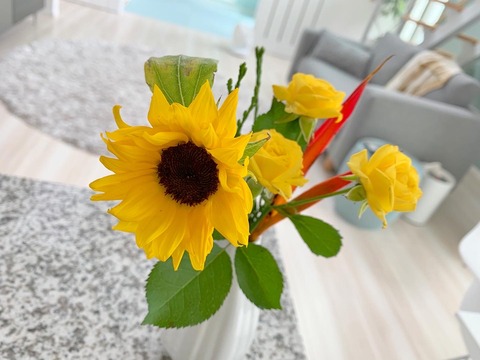 2720AFD6-9E65-4A64-8D2F-42085B54D56F