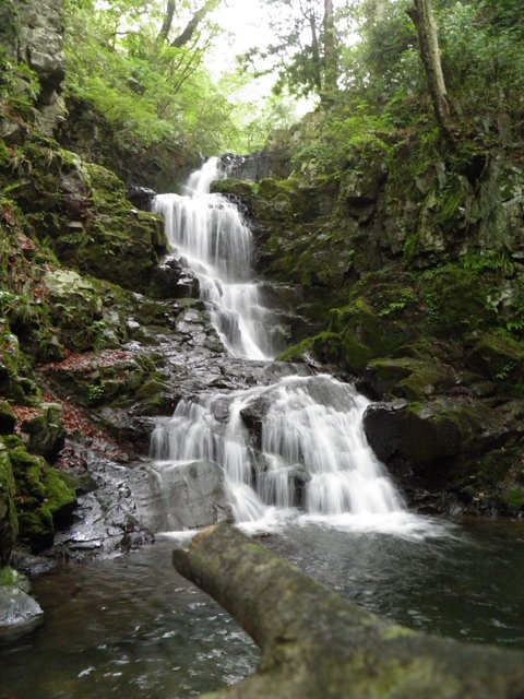 那岐山 淀川上流 蛇渕沢 右俣 遡行 こころユラギハナイロ