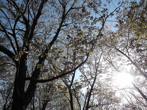 150331-三舟山3