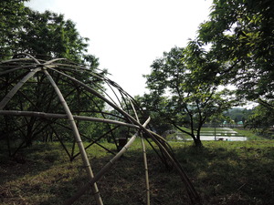 150512-マリポ農園2