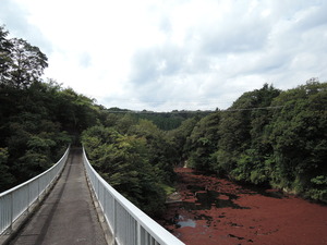 140918-吊り橋