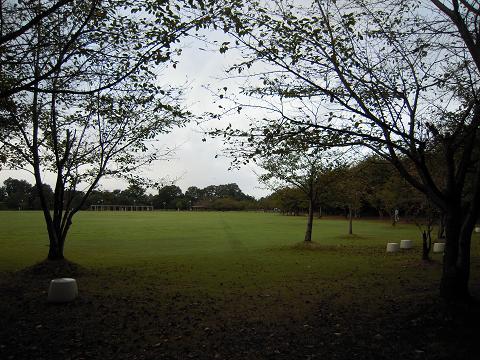 DSCN8691.jpg