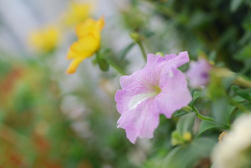DSC_0024_20130823120635c6d.jpg