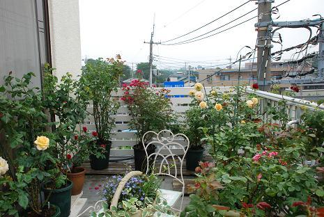 DSC_0151_20130621100227.jpg