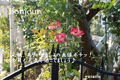 にほんブログ村 ライフスタイルブログ ナチュラルライフへ