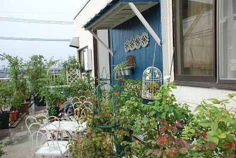 DSC_0214_20130721082056.jpg