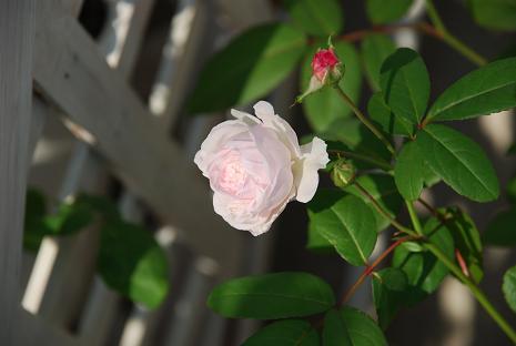 DSC_0023_20121017165551.jpg