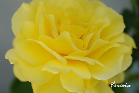 DSC_0062_20120628115615.jpg