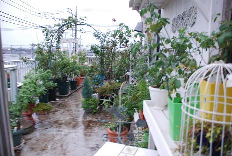 DSC_0036_20121023172204.jpg
