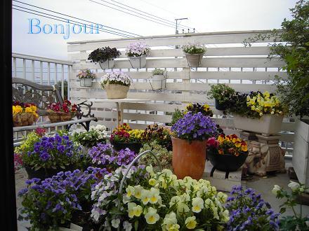 DSCN8928.jpg