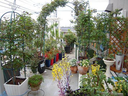 DSCN8921.jpg