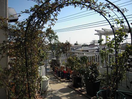 DSCN8895.jpg