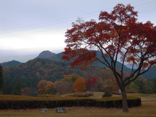DSCN9186.jpg
