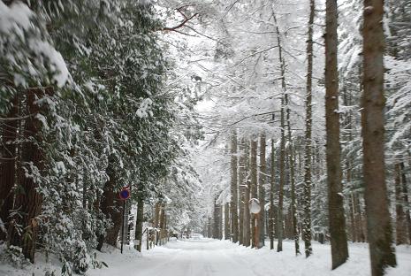 DSC_0423.jpg