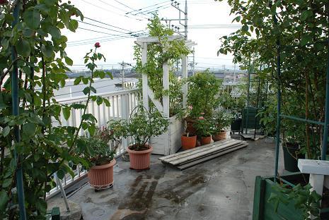 DSC_0012_20110830170726.jpg