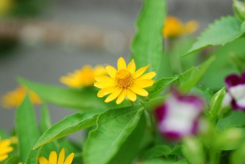 DSC_0010_20130823120640f83.jpg