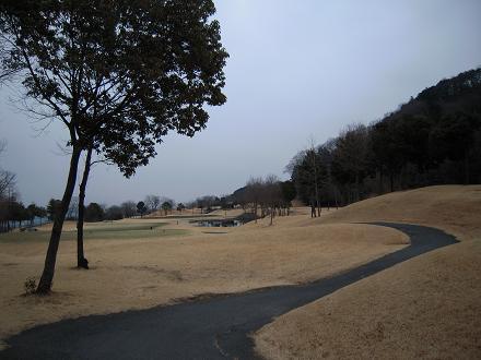 DSCN8825.jpg