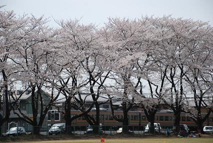 DSC_0085_20120411074800.jpg