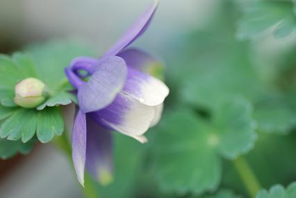 DSC_0022_20120420090448.jpg