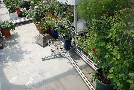DSC_0100_20120930142316.jpg