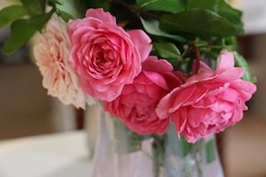 IMG_6732