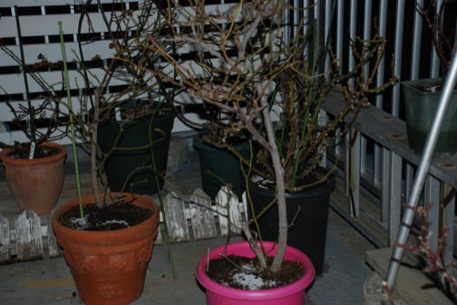 DSC_0018_20140123202252bb8.jpg
