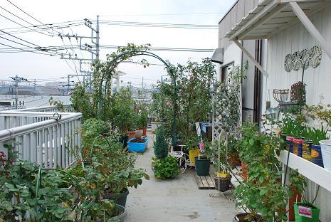 DSC_0020_20121117120611.jpg