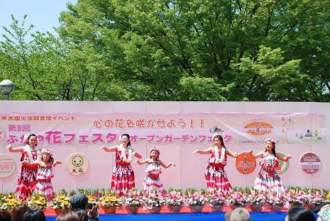 DSC_0118_20110429115634.jpg
