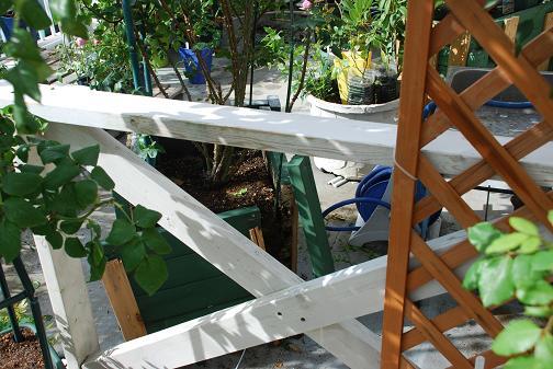 DSC_0007_20120620083247.jpg