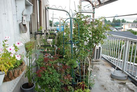 DSC_0013_20110830170726.jpg