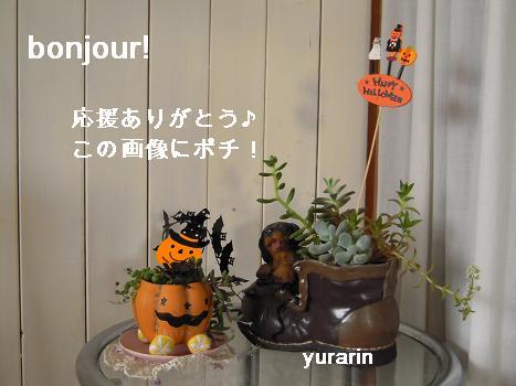 にほんブログ村 ライフスタイルブログ スローライフへ