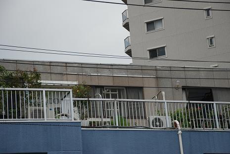 DSC_0106_20121002173701.jpg
