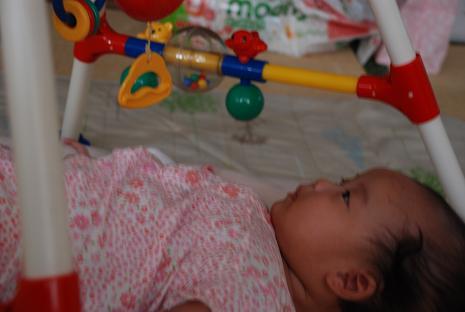 DSC_0039_20110918070008.jpg