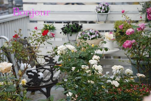 DSC_0004_20111129084915.jpg