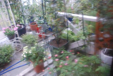 DSC_0001_20120919204924.jpg