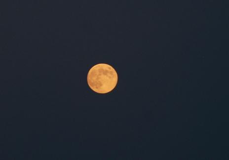 tuki_20120831183134.jpg