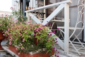 IMG_6713