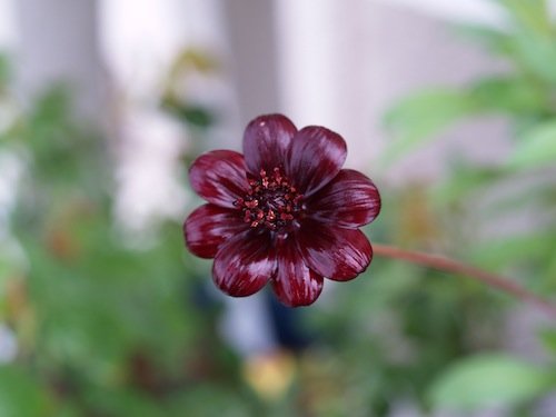 P1012446