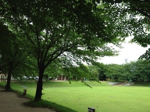 IMG_0703.jpg
