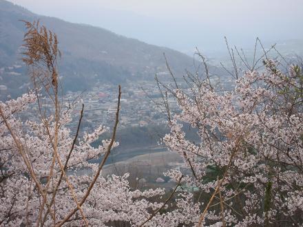 DSCN8899.jpg