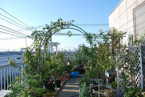 DSC_0004_20121026105449.jpg