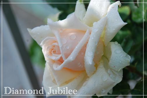 DSC_0018_20120601111058.jpg