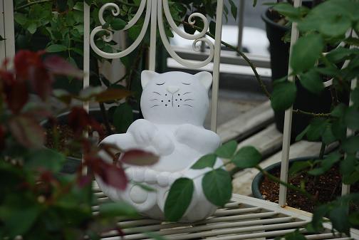 DSC_0007_20120616062507.jpg