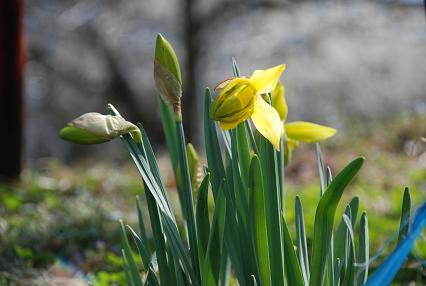 DSC_0072_20120410110155.jpg