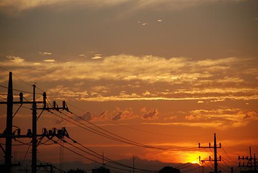 DSC_0015_20120621115310.jpg