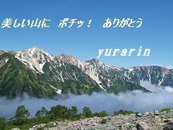 にほんブログ村 花ブログ バラ園芸へ