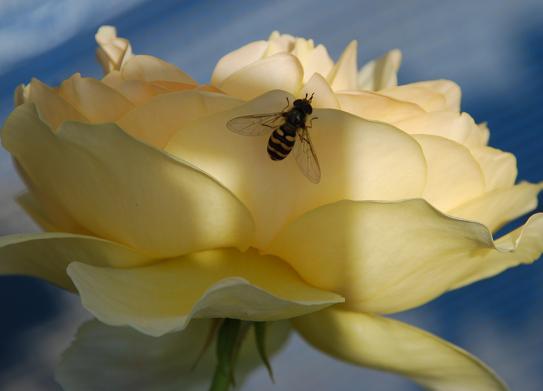 a1_20130523103349.jpg