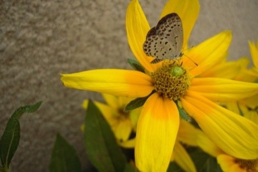DSCN9664.jpg