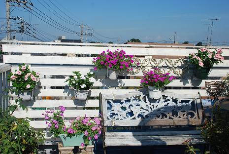DSC_0032_20120826112947.jpg