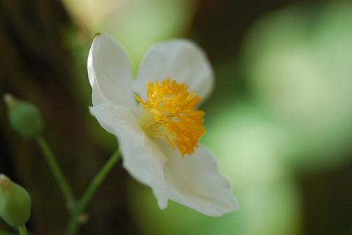 DSC_0038_20130426175329.jpg